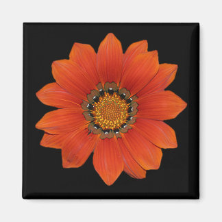 Flor naranja 2 imán