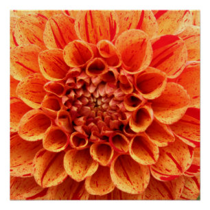 Flor Naranja de papel Poster (semibrillante) de 20