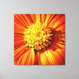 Flor Naranja Radiante Arte de Pared Impresión Macr