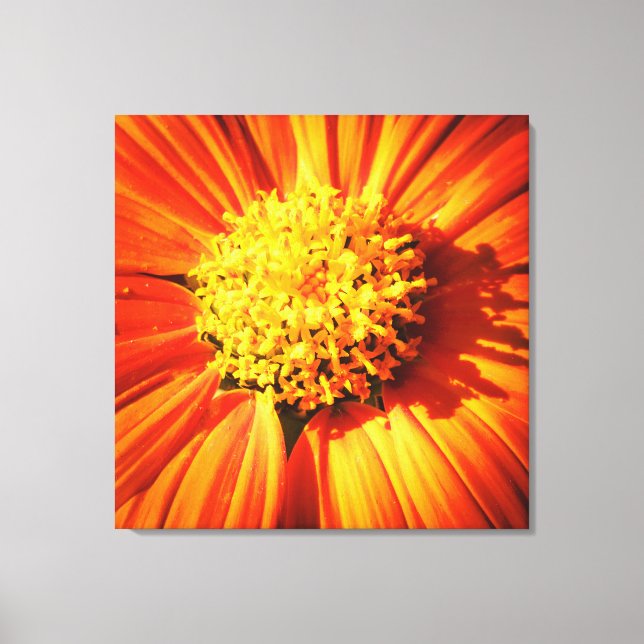Flor Naranja Radiante Arte de Pared Impresión Macr (Anverso)