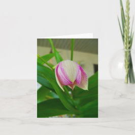 Flor orquídea se abre en una tarjeta de nota en bl