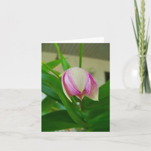 Flor orquídea se abre en una tarjeta de nota en bl
