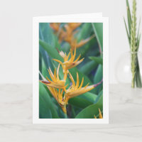 Flor (Pájaro de paraíso) Tarjeta en blanco