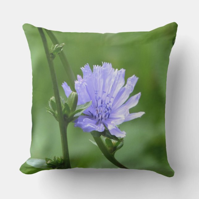 Flor perinchera y almohada verde exterior (Anverso)