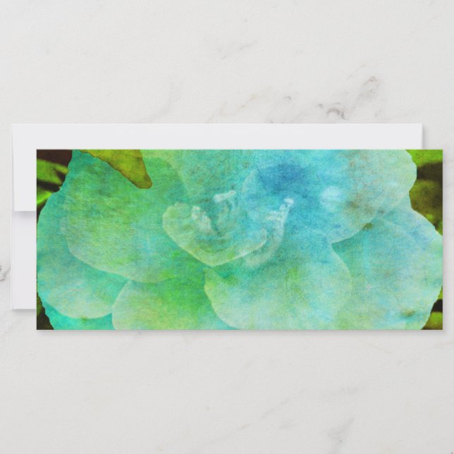 Flor pintada por Shirley Taylor (Anverso)