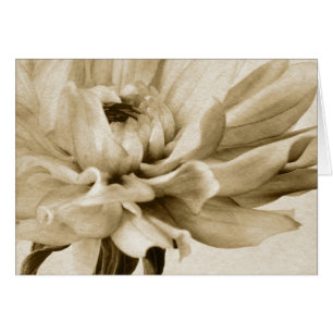 Flor poner crema de la dalia - fondo floral de las