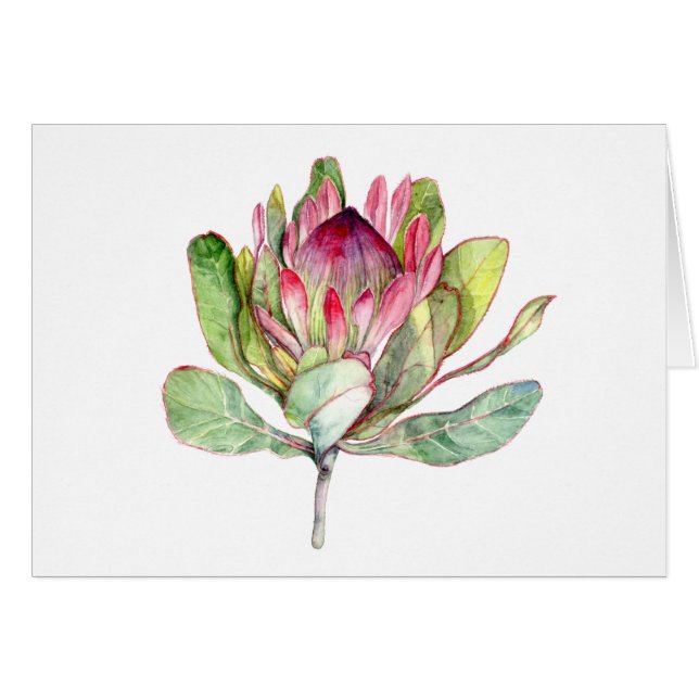 Flor Protea (Anverso (Horizontal))