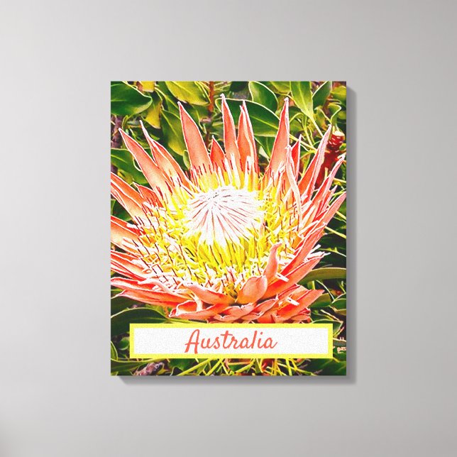 Flor protectora Impresión de viajes australiana (Anverso)