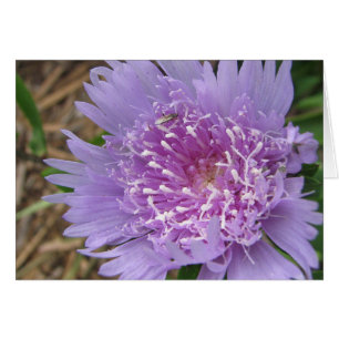 Flor púrpura