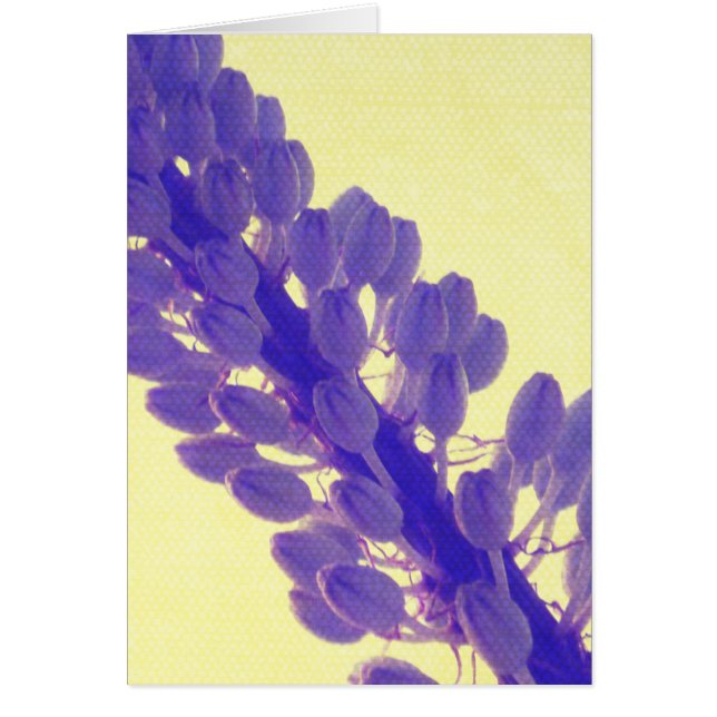 Flor púrpura en amarillo (Frente)
