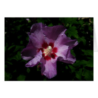 Flor púrpura finlandesa-Hyvää Syntymäpäivää