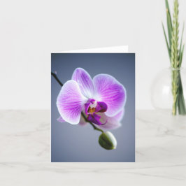 Flor púrpura, ORCHID y tarjeta de nota de fallos