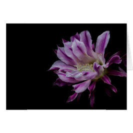 Flor real morada y blanca