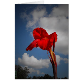 Flor roja