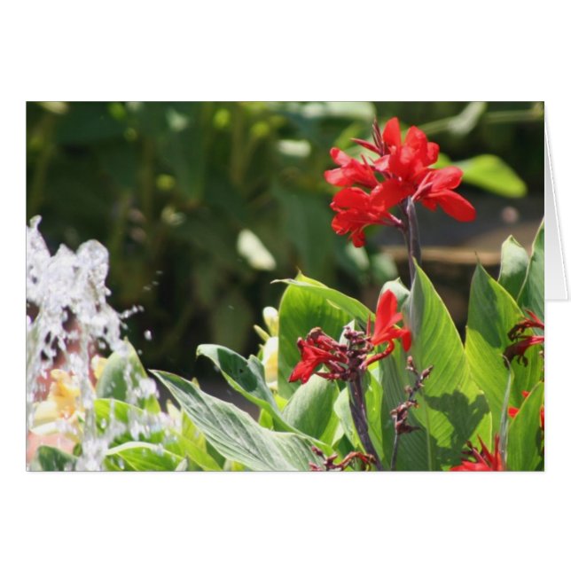 Flor roja alta (Anverso (Horizontal))