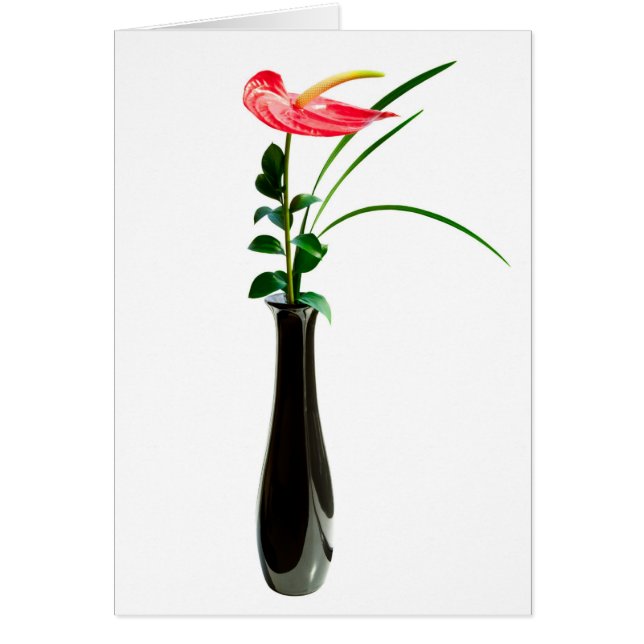 Flor roja del Anthurium en un florero (Frente)