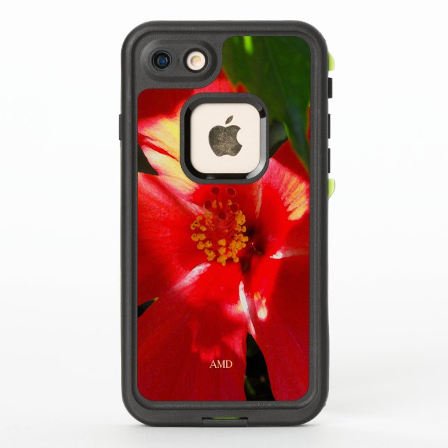 Flor roja hibiscus en el sol (Reverso)