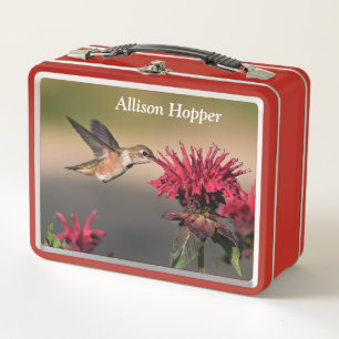 Flor roja Hummingbird