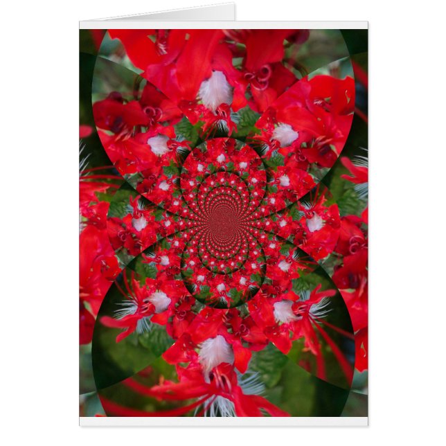 Flor Roja Natural Pluma Blanca Kaleidoscope Arte (Frente)