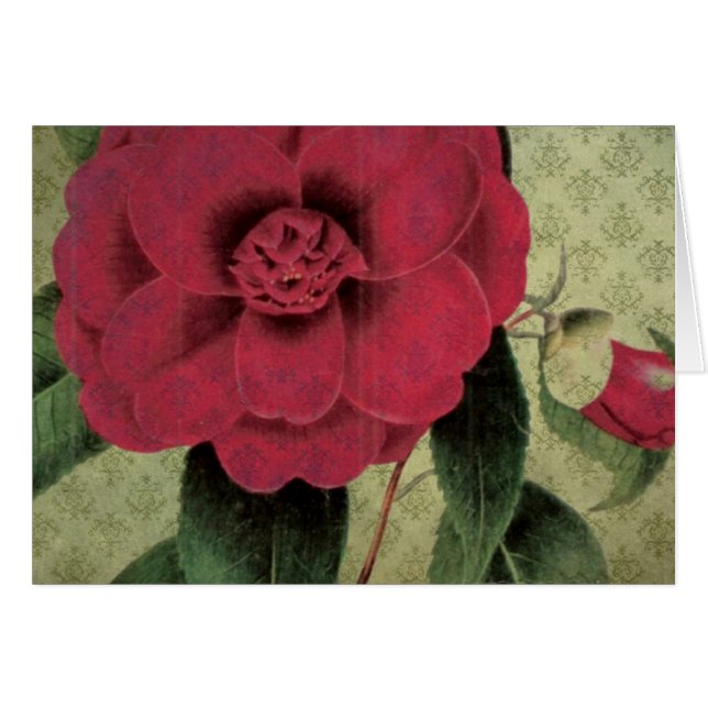 Flor roja vintage (Anverso (Horizontal))