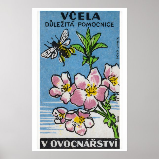 Flor Rosa Abeja Amarilla - Impresión de Caja de Ce (Frente)