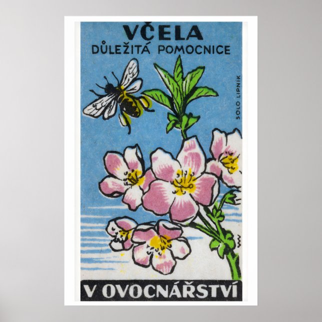 Flor Rosa Abeja Amarilla - Impresión de Caja de Ce (Frente)