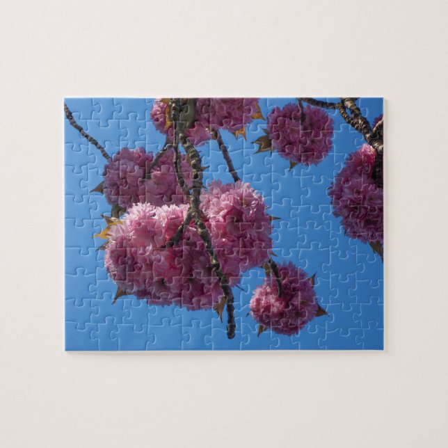 Flor rosa, cielo azul - rompecabezas (Horizontal)