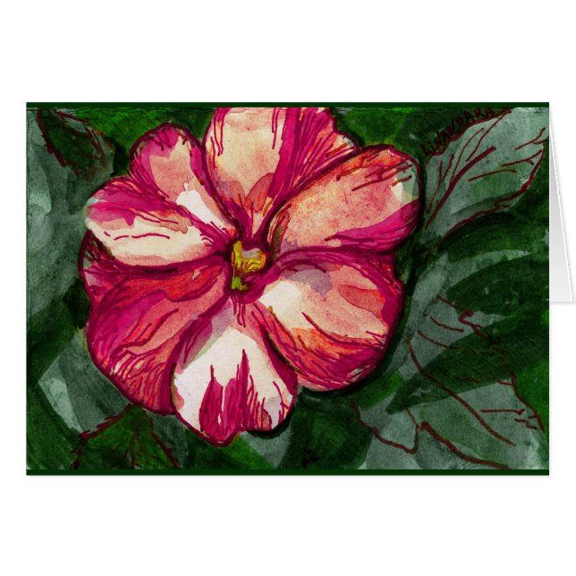 Flor rosa de Balsam (Anverso (Horizontal))