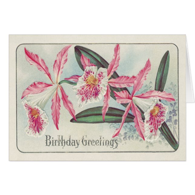 Flor rosa de orquídea blanca (Anverso (Horizontal))