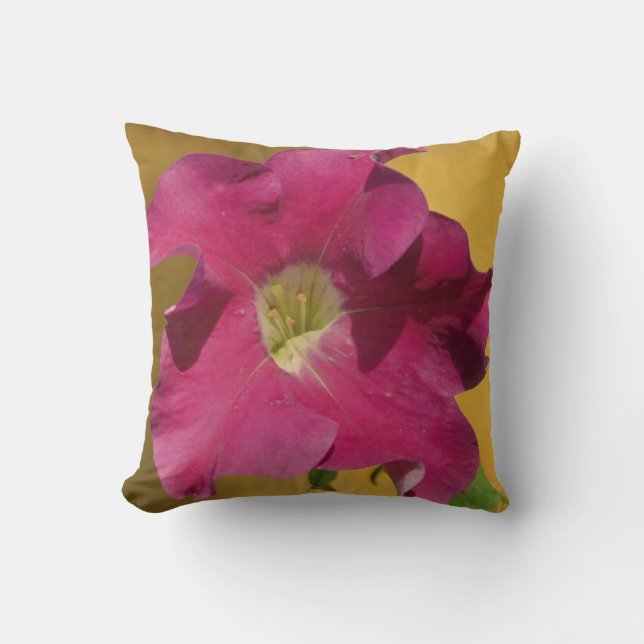Flor rosa de petunia, almohada rosa casi sólida (Anverso)
