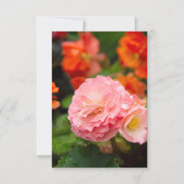 Flor rosa delgada después de la lluvia