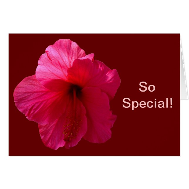 Flor rosa hibiscus (Anverso (Horizontal))