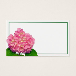 Flor rosa Hydrangea rosa flor rosa floral