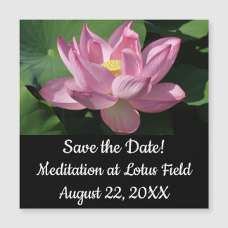 Flor rosa Lotus IV