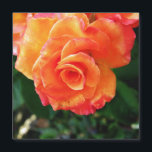 flor rosa naranja<br><div class="desc">rosa de naranja</div>