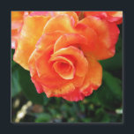 flor rosa naranja<br><div class="desc">rosa de naranja</div>