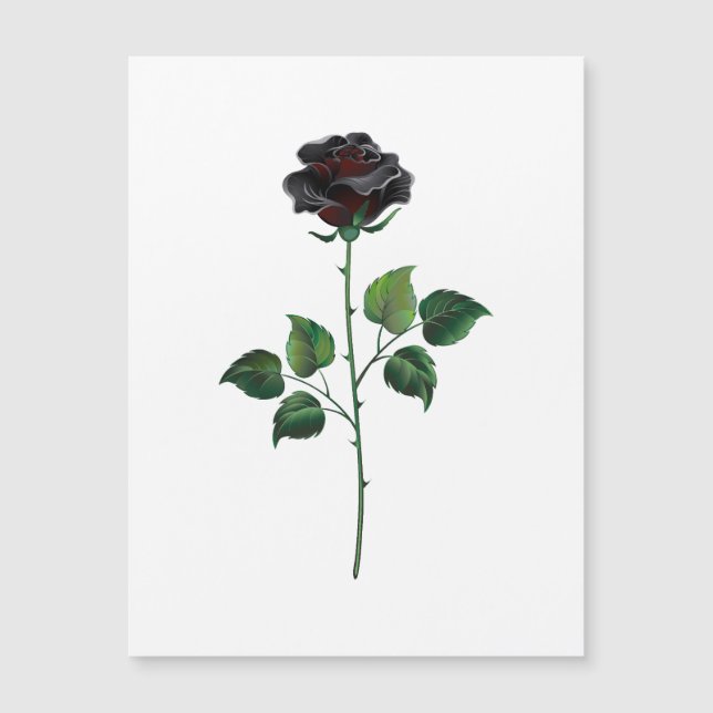 Flor rosa negra (Anverso)