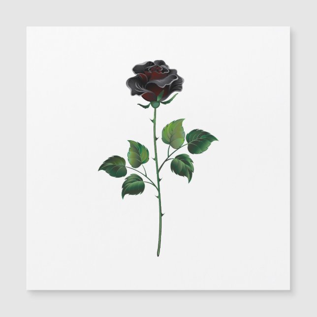 Flor rosa negra (Anverso)