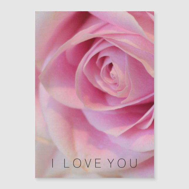 Flor rosa rosa (Anverso)