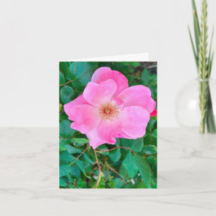 Flor rosa rosa floreciente Tarjeta de bienvenida d