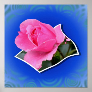 Flor rosa rosebuda fuera de los límites del arte