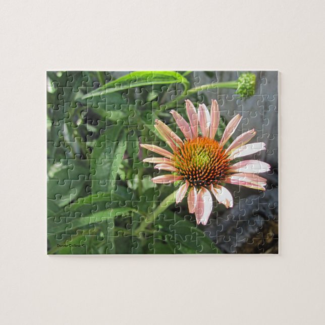 Flor rosa simple en un rompecabezas de jardín (Horizontal)