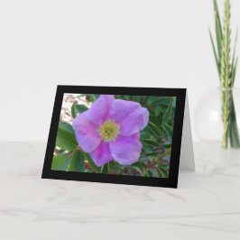 Flor rosa suave- Canción de Sol. Tarjeta de felici