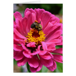 Flor rosa y abeja de burbujas