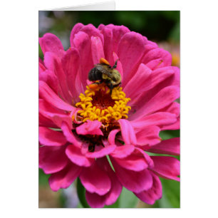 Flor rosa y abeja de burbujas
