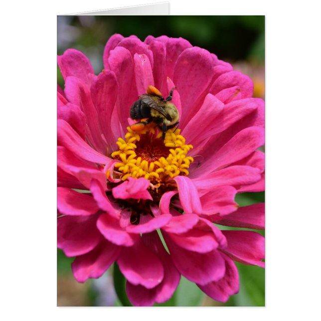 Flor rosa y abeja de burbujas (Frente)