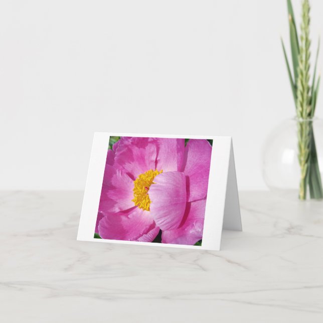 Flor rosa y amarilla (Anverso)