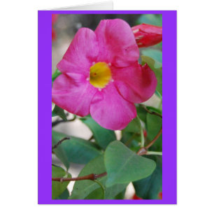 Flor rosada