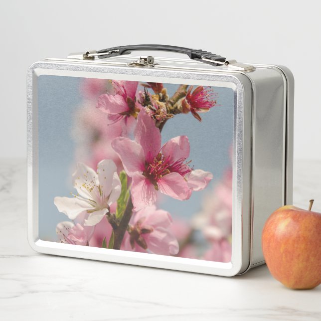 Flor sakura, flor japonesa rosa (In situ)