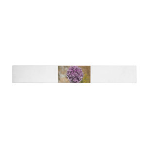 Flor salvaje